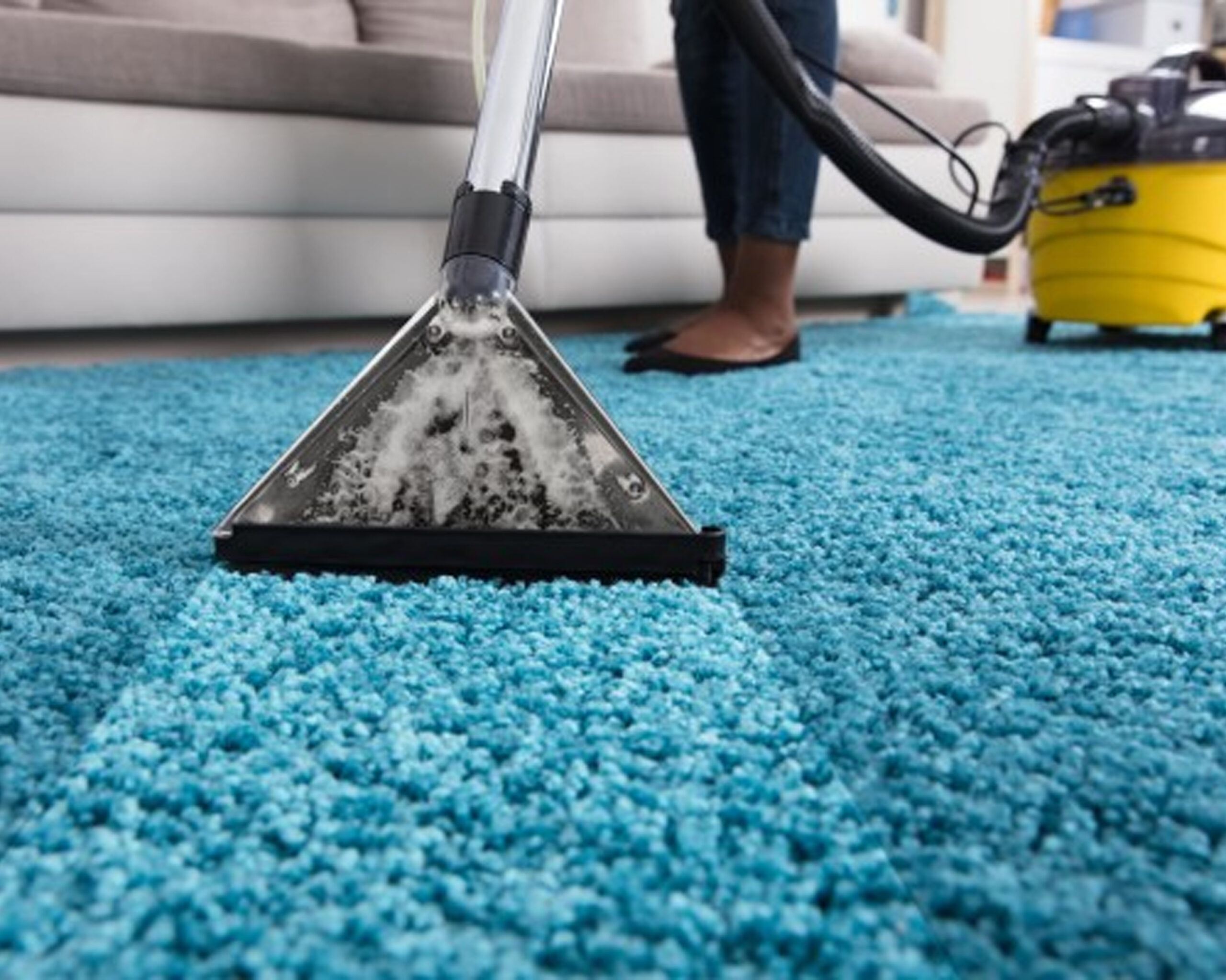 Professional carpet cleaning service